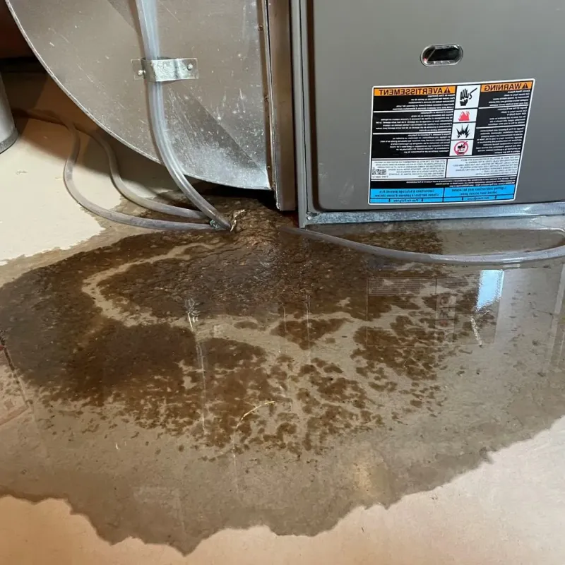 Pipe Burst and Leak Restoration in Locust, NC