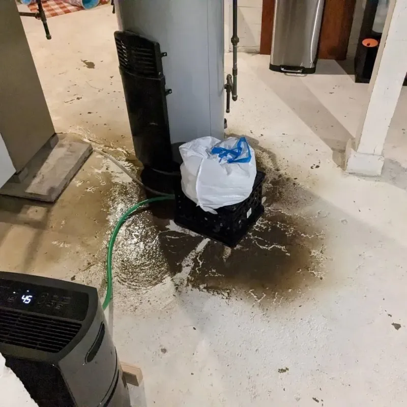 Sewage Backup Cleanup Service in Locust, NC